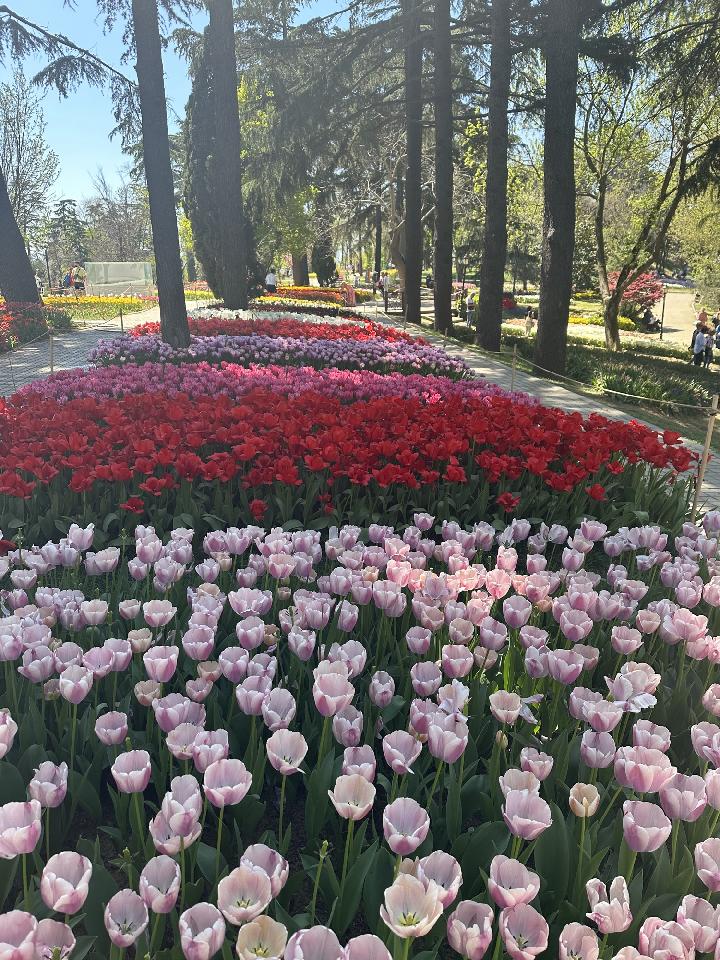 Isztambul a tulipánfesztivál idején