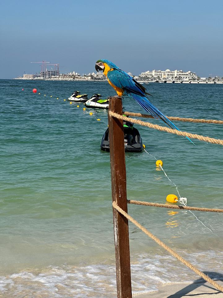 Abu Dhabi és Dubai a tavaszi szünetben